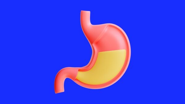 رسم توضيحي للجهاز الهضمي البشري