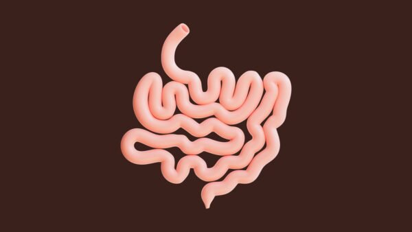 صورة توضح صحة الجهاز الهضمي وتأثيره على الصحة العامة